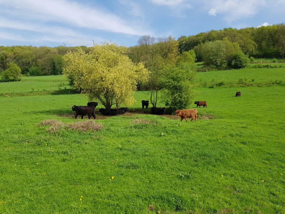 הוילה סימפלוולד Belle - Mooi Zuid Limburg מראה חיצוני תמונה